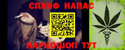 сатива Кунгур