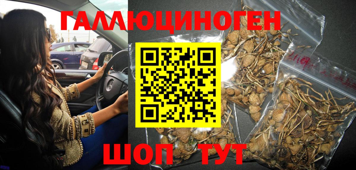 Галлюциногенные грибы MAGIC MUSHROOMS Ишимбай