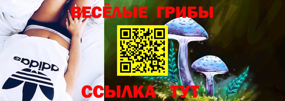 Ишимбай  Псилоцибиновые грибы мицелий  Вход с VPN 